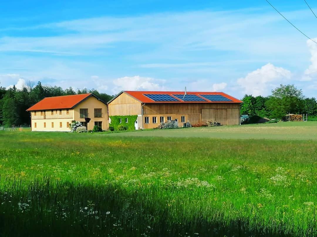 Niedergerner Alpaka Ranch Daire Haiming Dış mekan fotoğraf